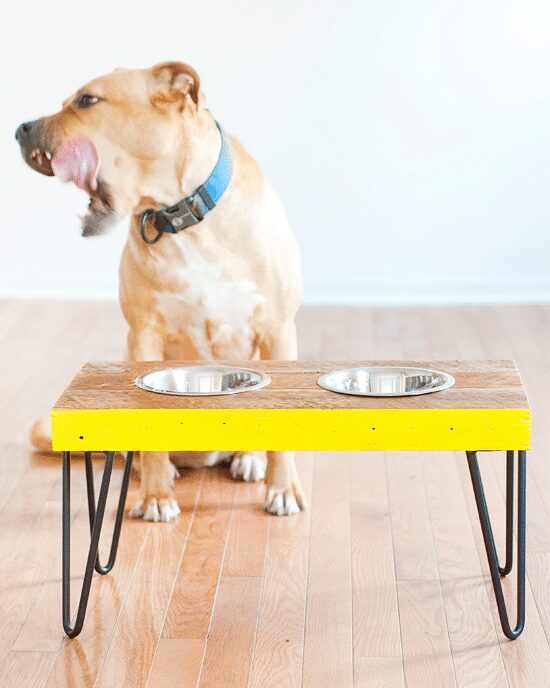 https://yellowbrickhome.com/wp-content/uploads/2013/08/scotchblue-pet-food-tray-16-1.jpg