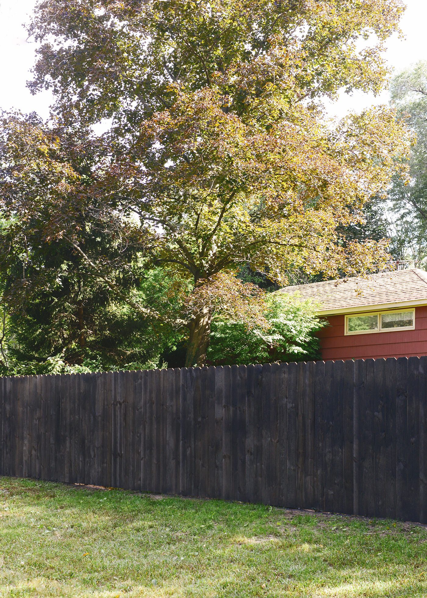 How we stained our fence black! via Yellow Brick Home