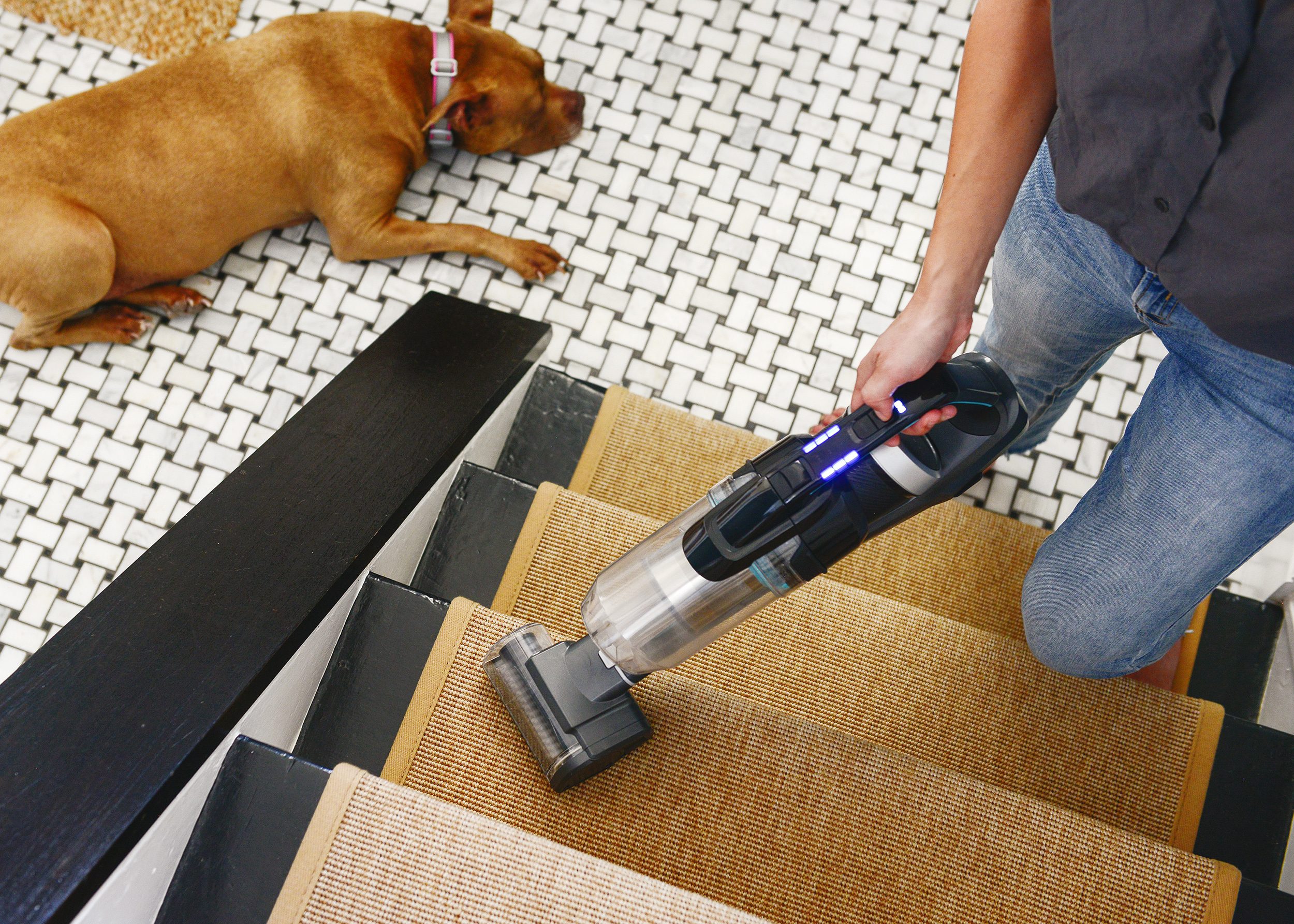 How we use the BISSELL ICONpet cordless vacuum to keep pet hair and messes to a minimum | via Yellow Brick Home #BISSELL #pethappens