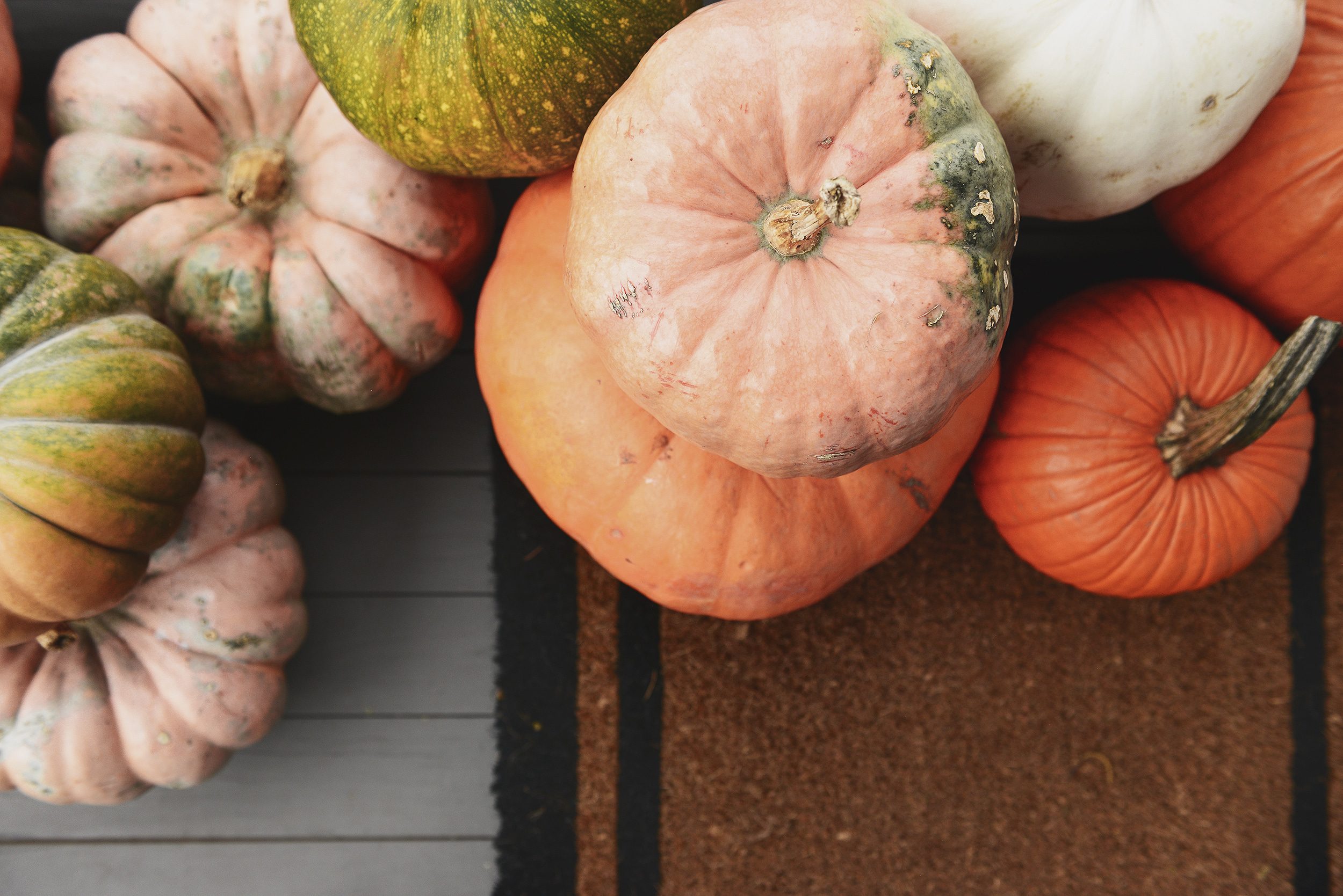 All the porcelain pumpkins: The 5 ingredients to a fall front porch refresh! via Yellow Brick Home