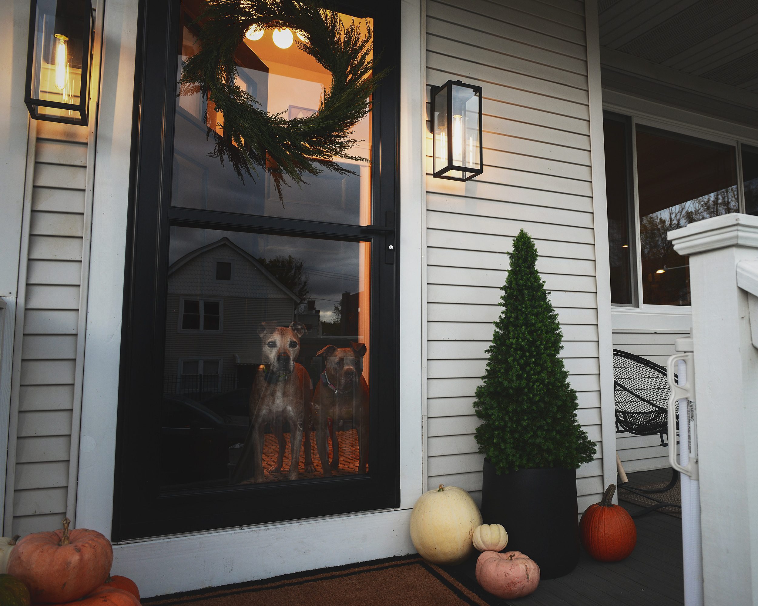Jack and CC looking out the storm door, standing inside our entryway: The 5 ingredients to a fall front porch refresh! via Yellow Brick Home