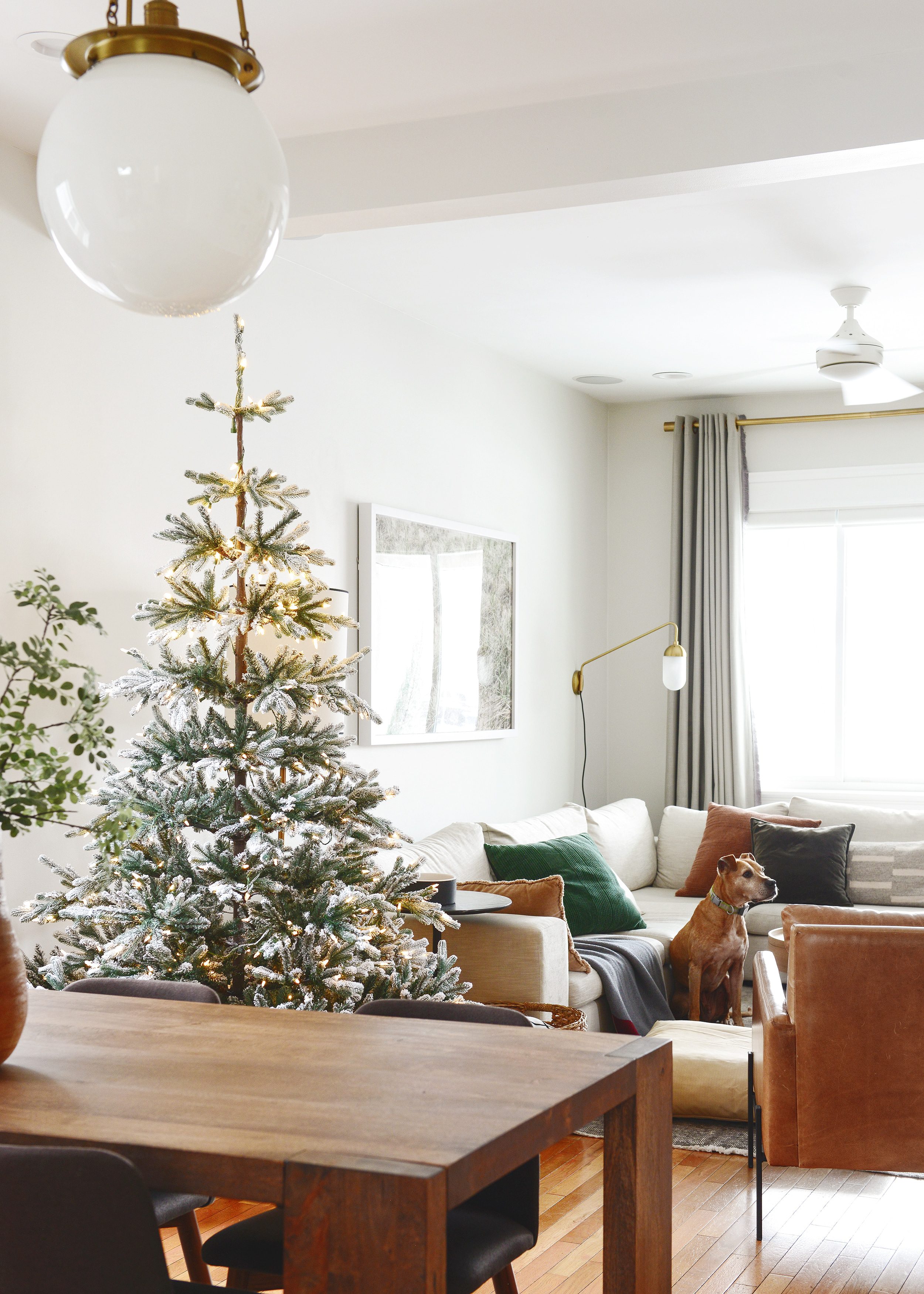 Christmas tree in a living room, a dining table in the foreground, and a dog in the background | Flocked Christmas trees in every shape, size and price point | via Yellow Brick Home