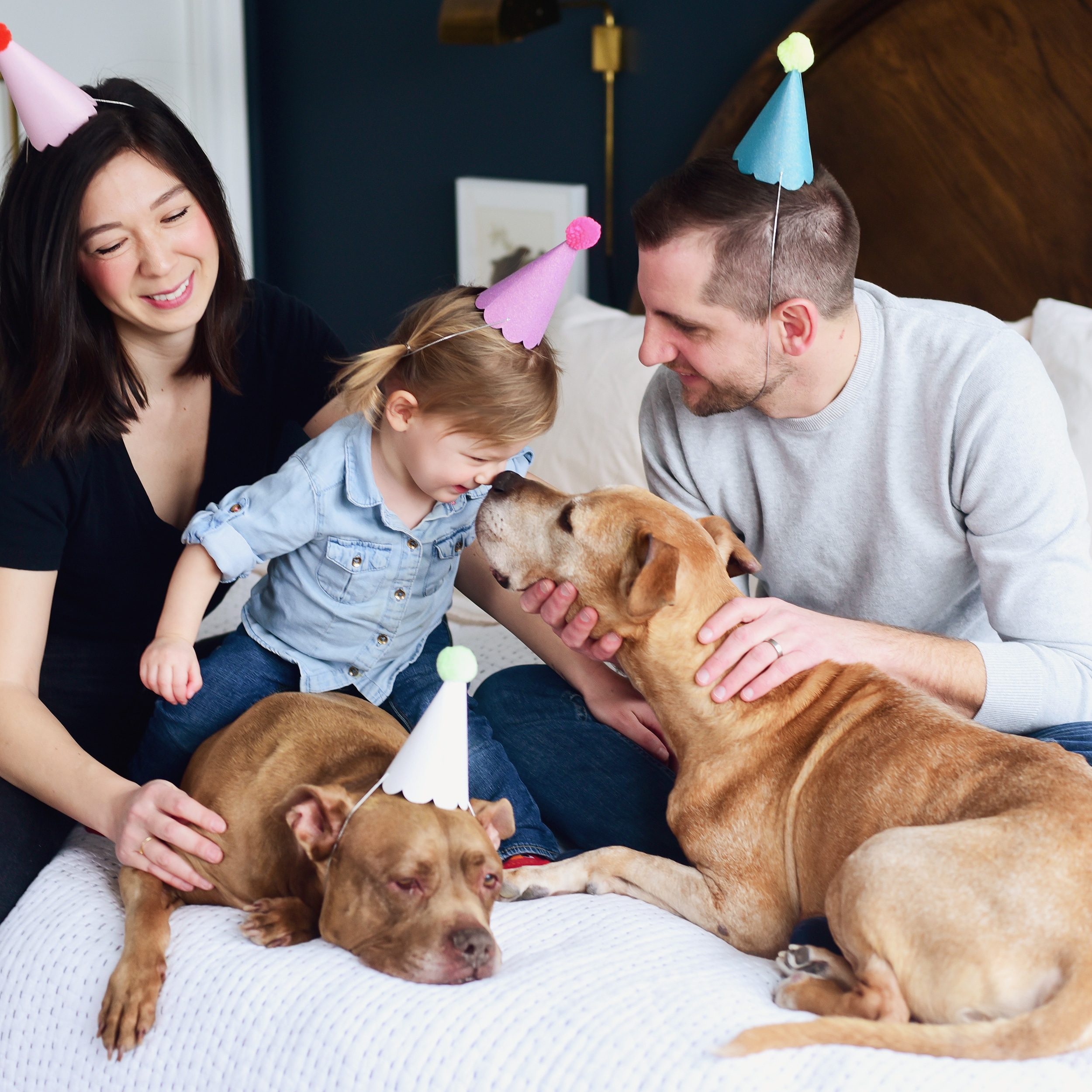 A family photo with party hats and our two dogs | via Yellow Brick Home