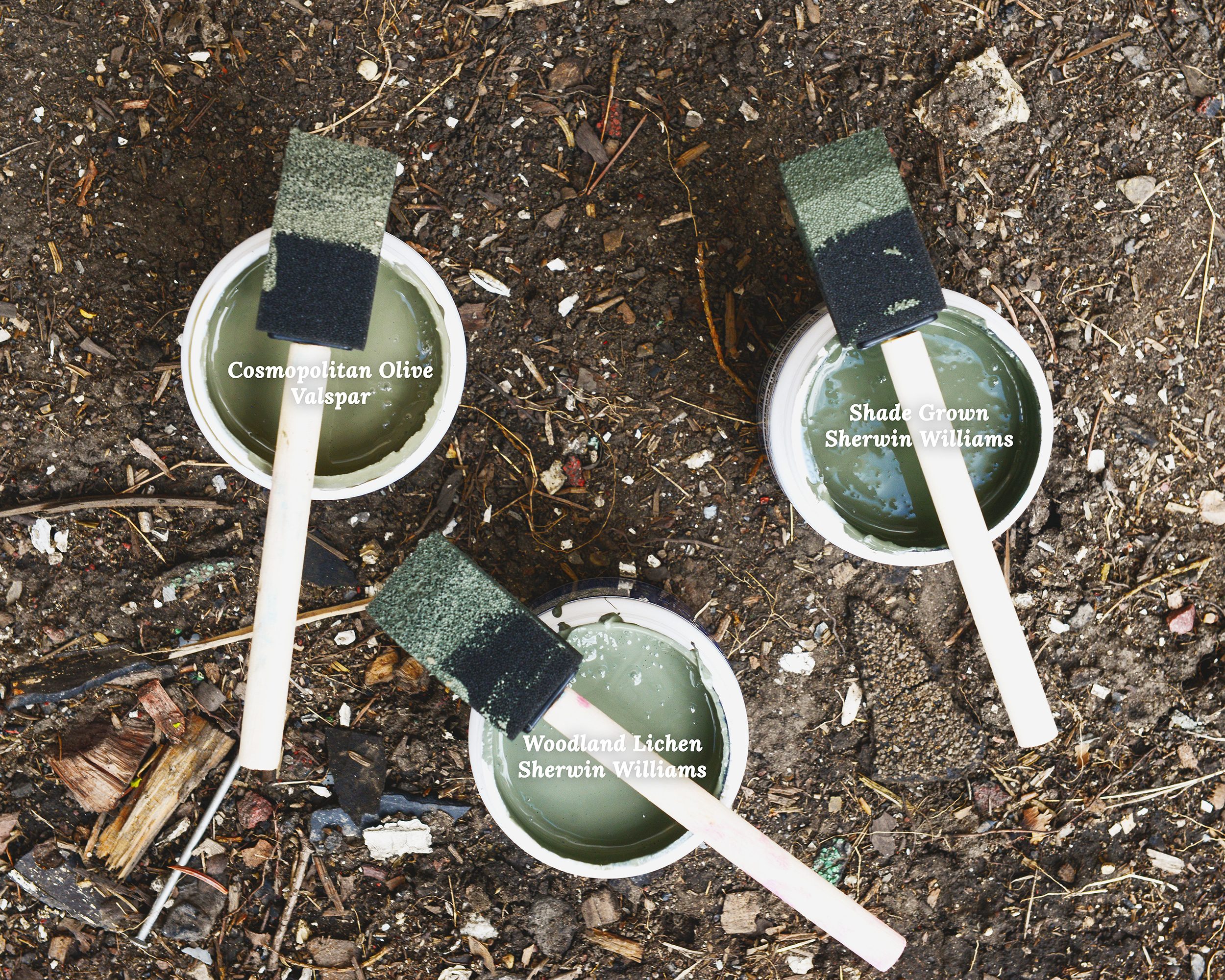 Three varying shades of olive green paint samples as they're applied with sponge brushes // via Yellow Brick Home