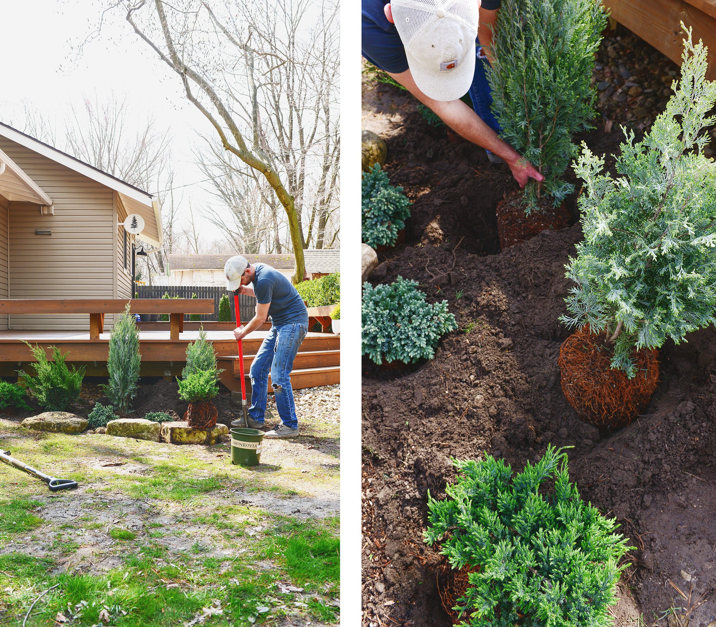 A man plants evergreen shrubs along the front of a newly stained deck // via Yellow Brick Home