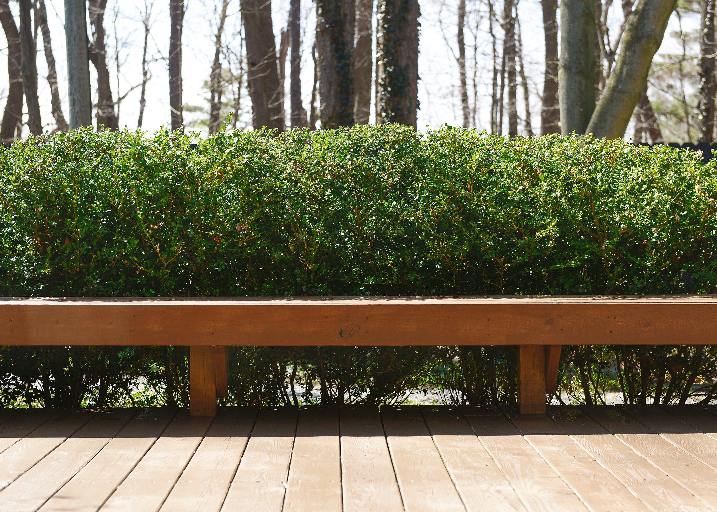 A row of boxwoods sits behind a freshly stained deck bench // via Yellow Brick Home
