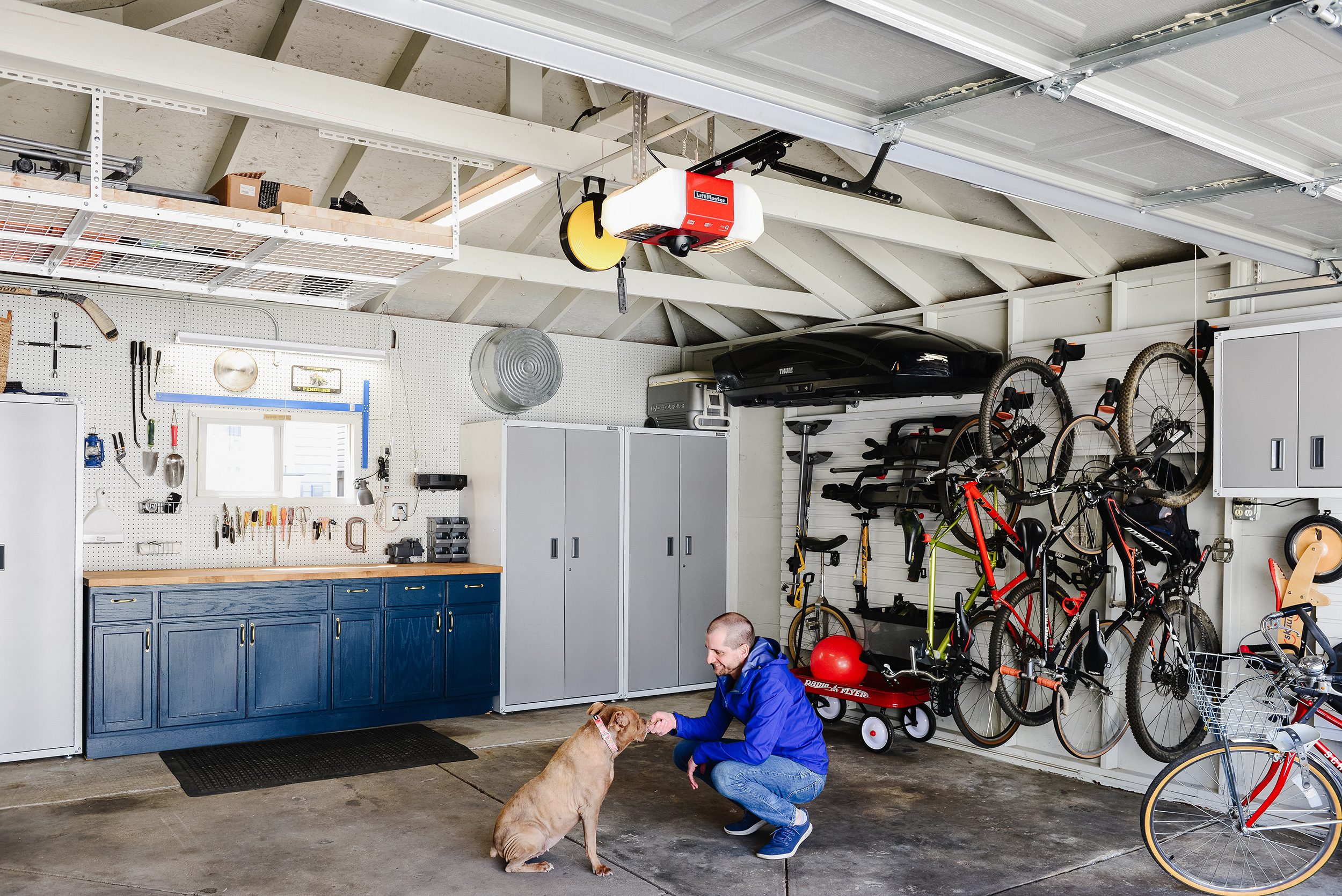 A man in a blue windbreaker shakes with a brown pit bull dog in a tidy garage with bikes hanging on the wall // via yellow brick home 