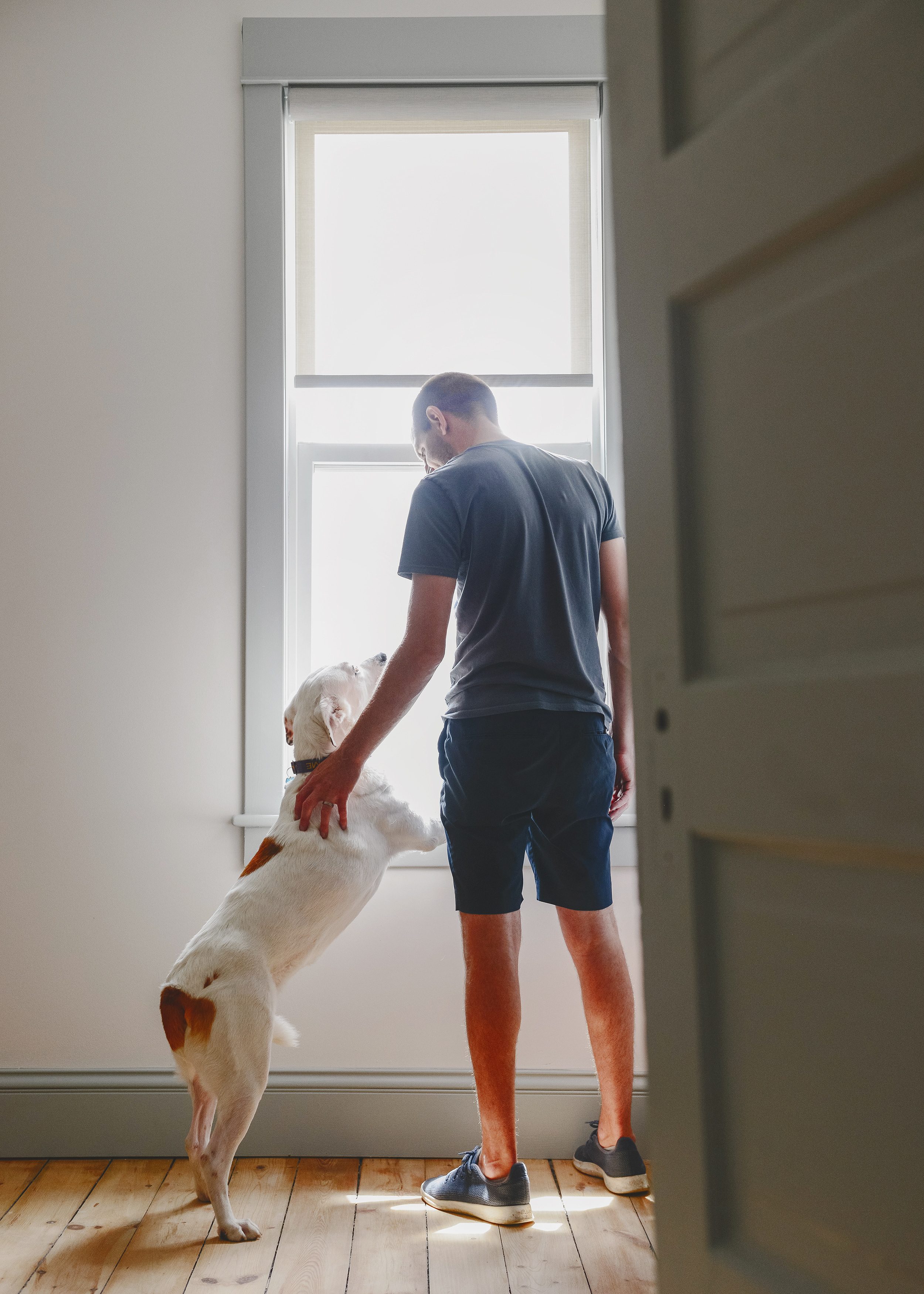 A man pets a white dog with brown spots that is looking out a window // via Yellow Brick Home