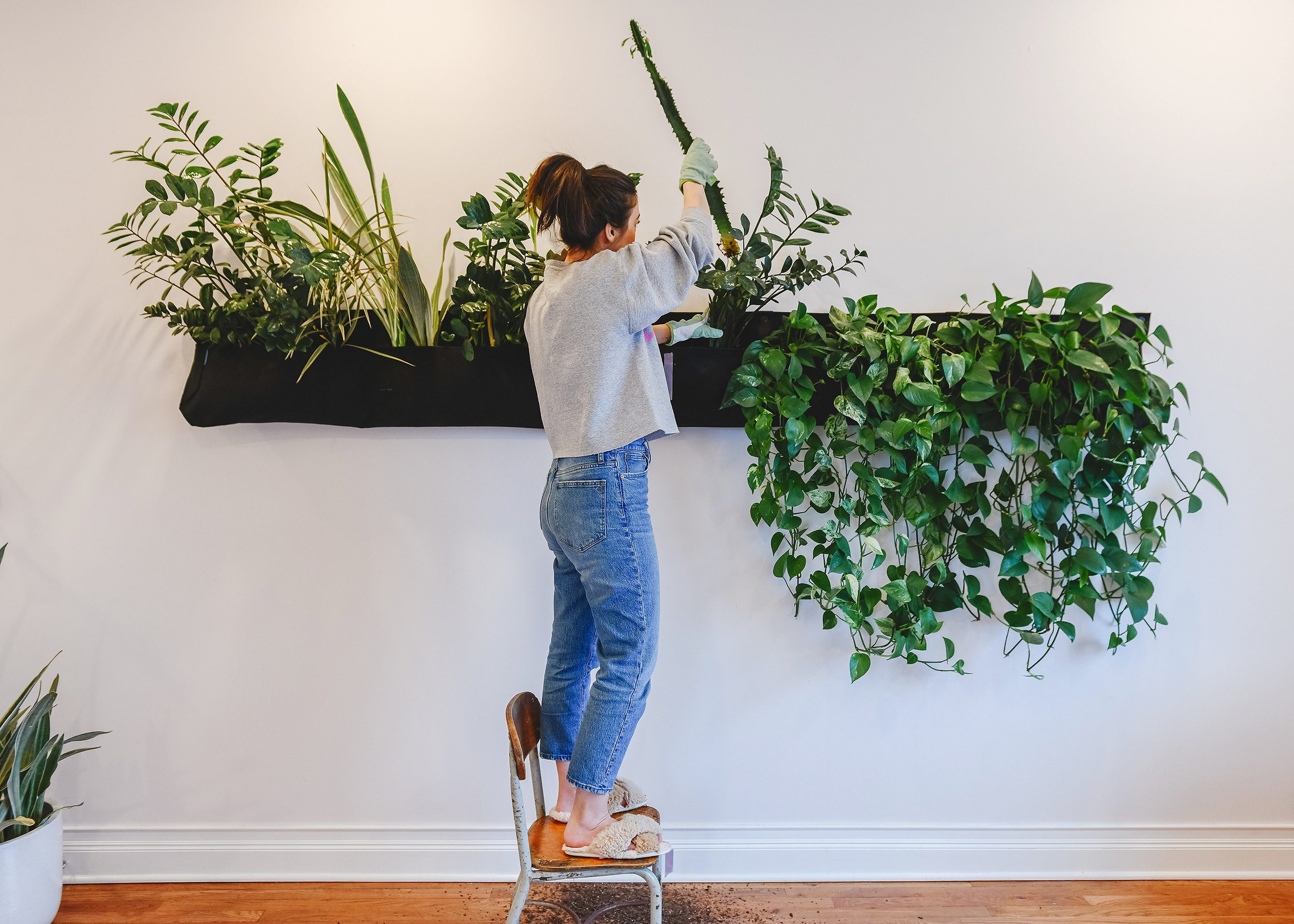 Kim rearranging a living wall planter | via Yellow Brick Home