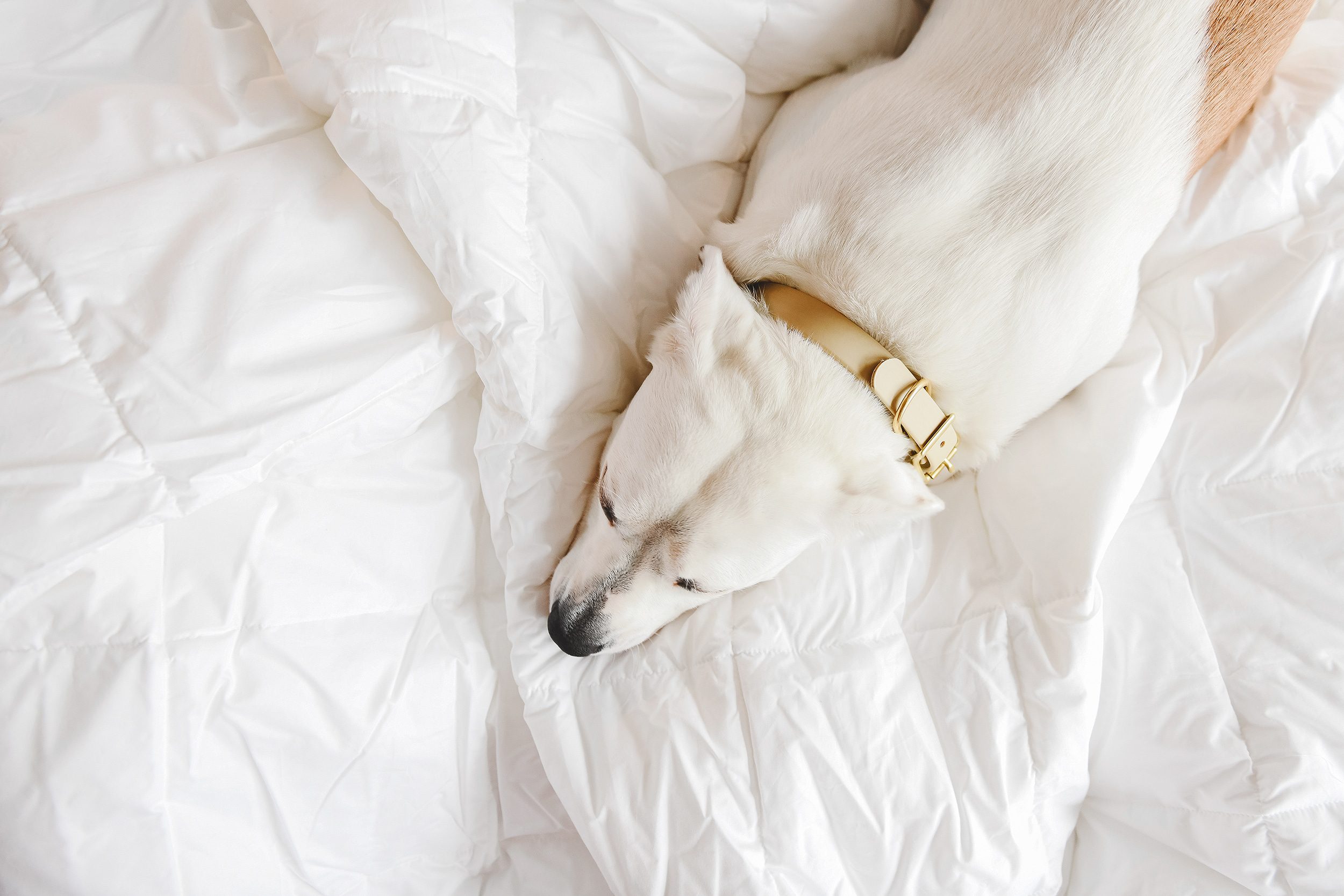 Making the bed | a guide to choosing bedding basics | via Yellow Brick Home