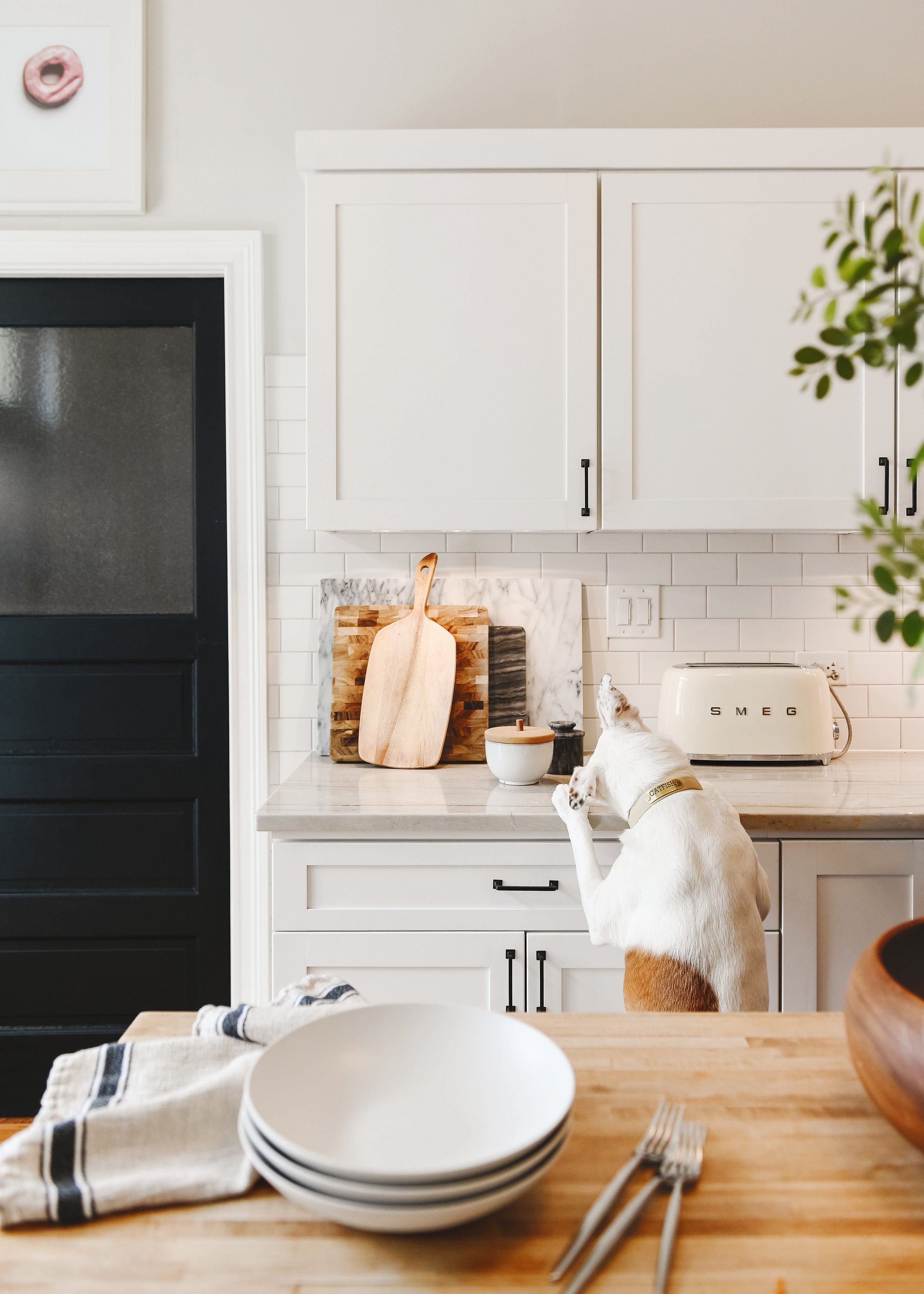 Catfish tries to nab food off the kitchen counter | all-white kitchen | via Yellow Brick Home