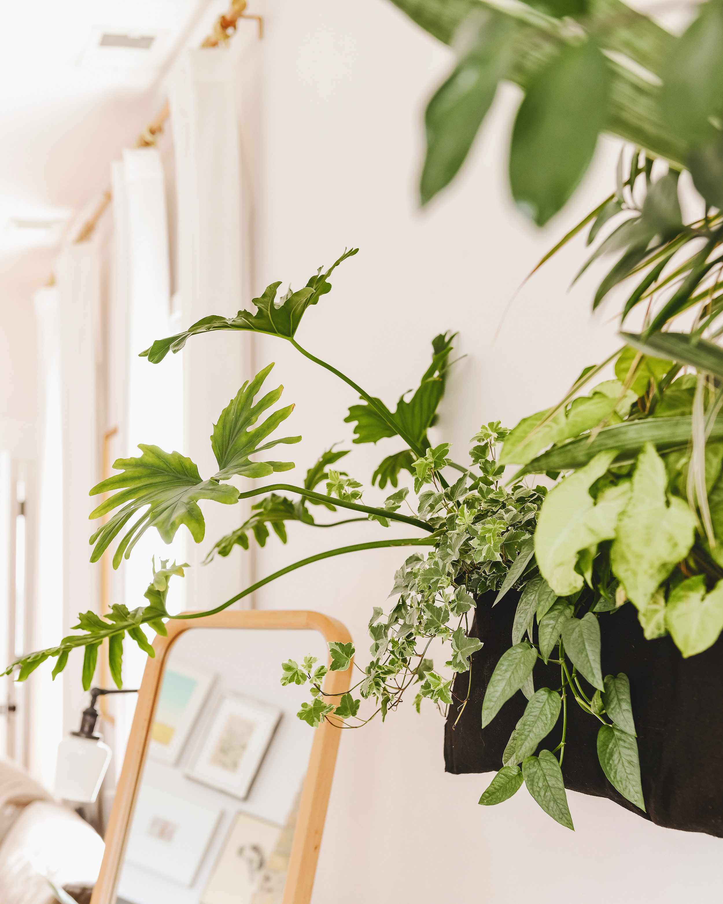 Close-up of the living wall planter in our living room | How We Care for Houseplants via Yellow Brick Home #houseplants