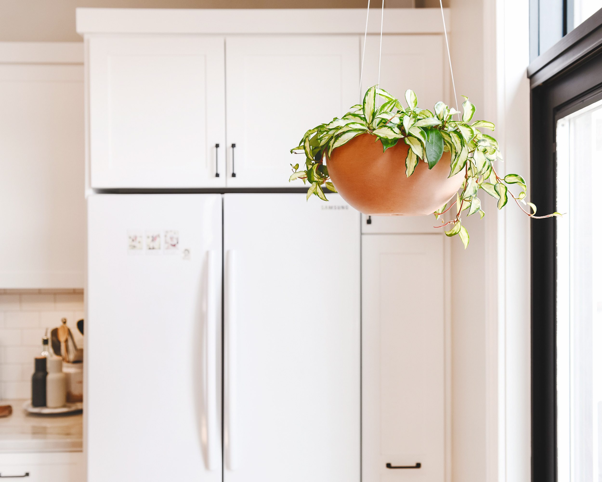 A hanging terracotta planter in our kitchen with a Hoya | How We Care for Houseplants via Yellow Brick Home #houseplants
