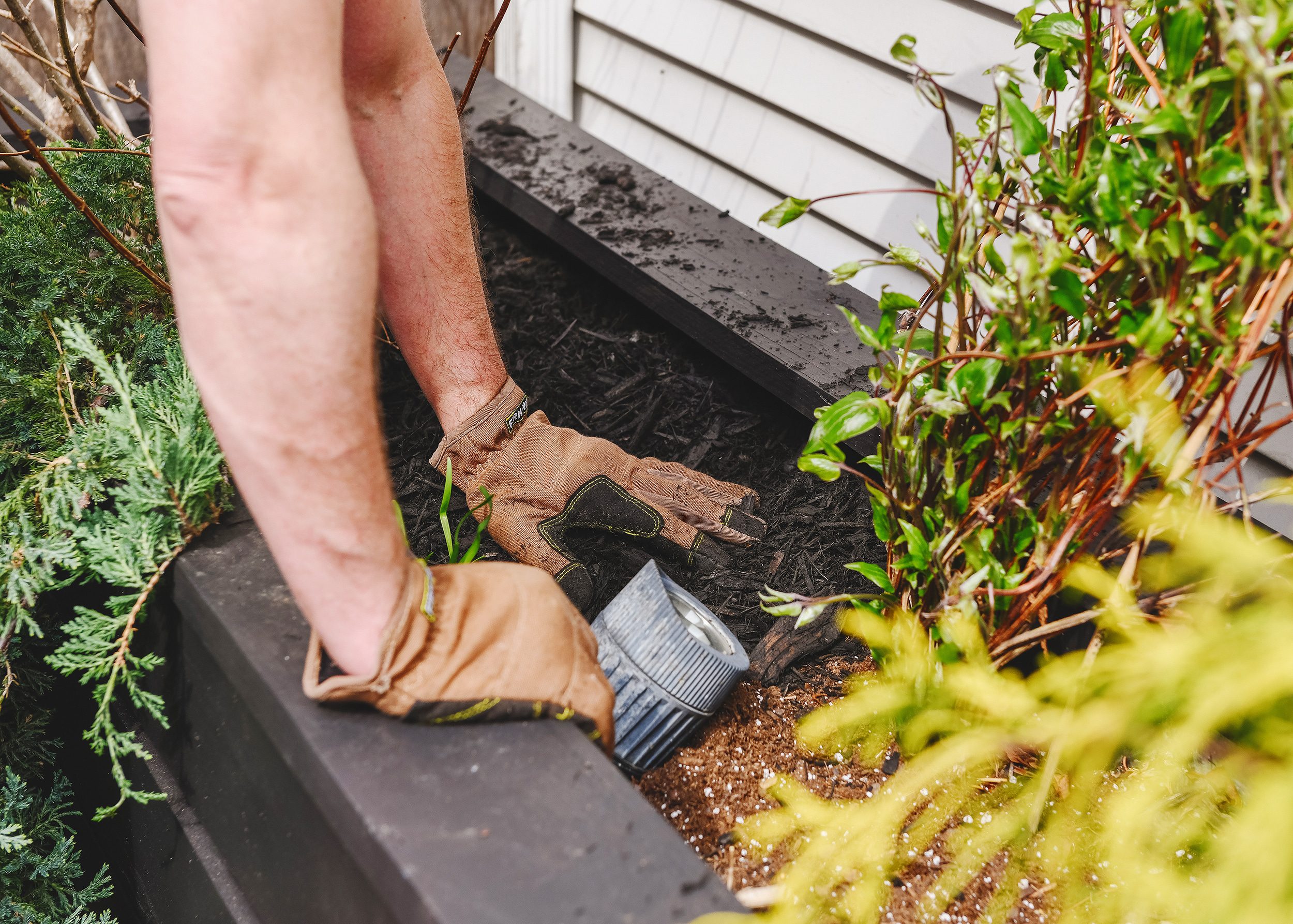 Scott spreads fresh black mulch to aid in moisture retention // via Yellow Brick Home