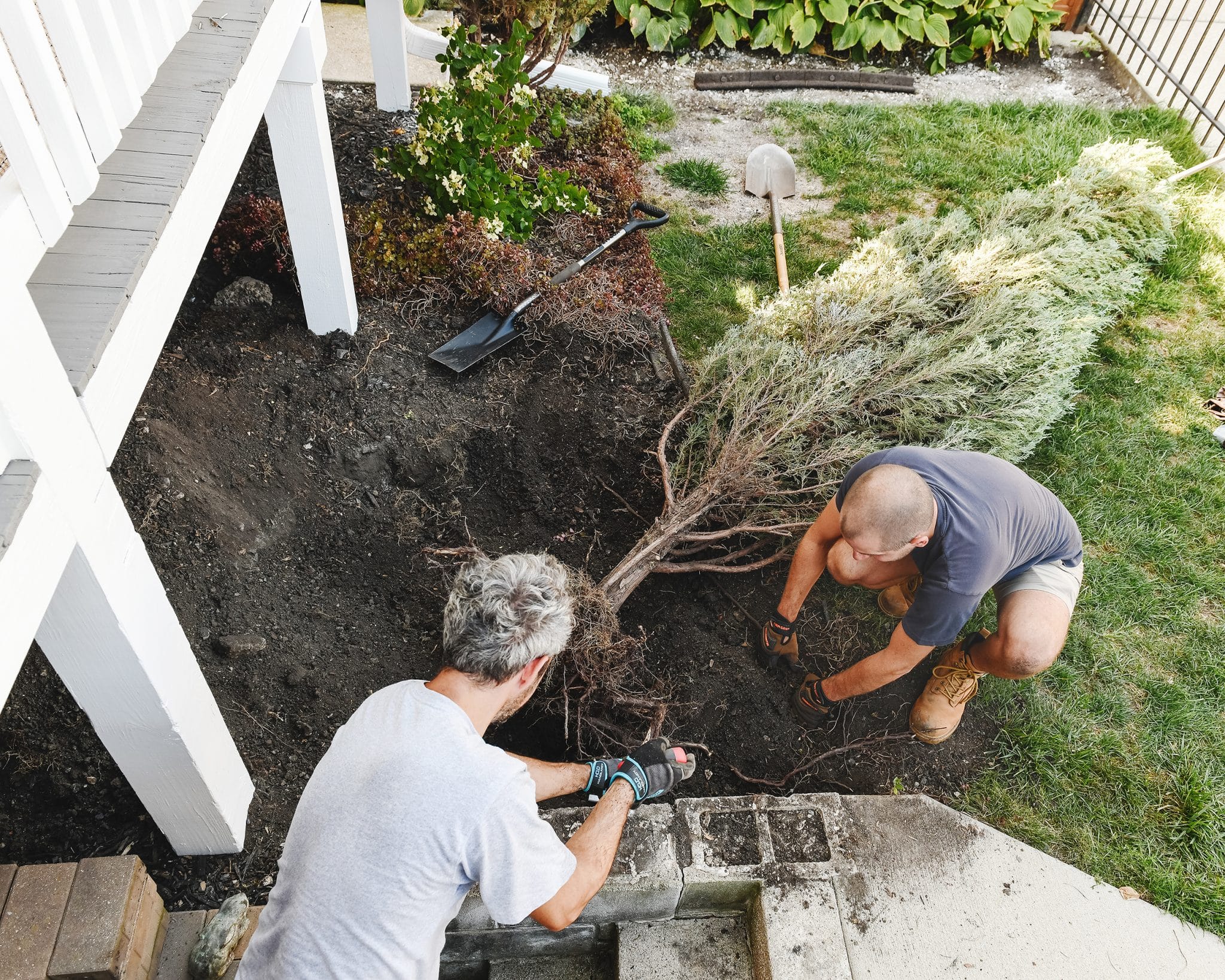 Scott and our friend Daniel remove the huge Juniper from the front planter bed. | via Yellow Brick Home