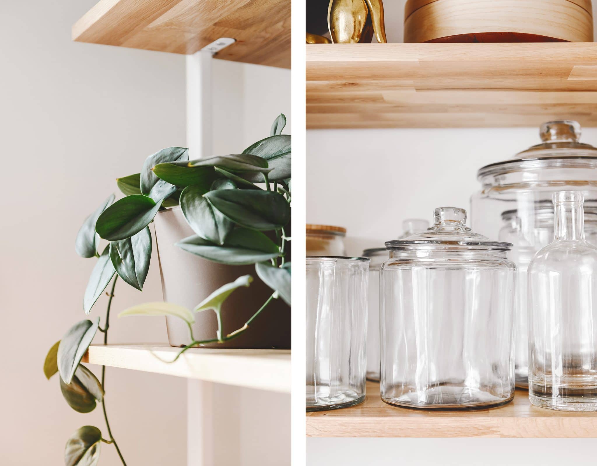Plants and clear glass storage jars look fantastic on the shelves. 