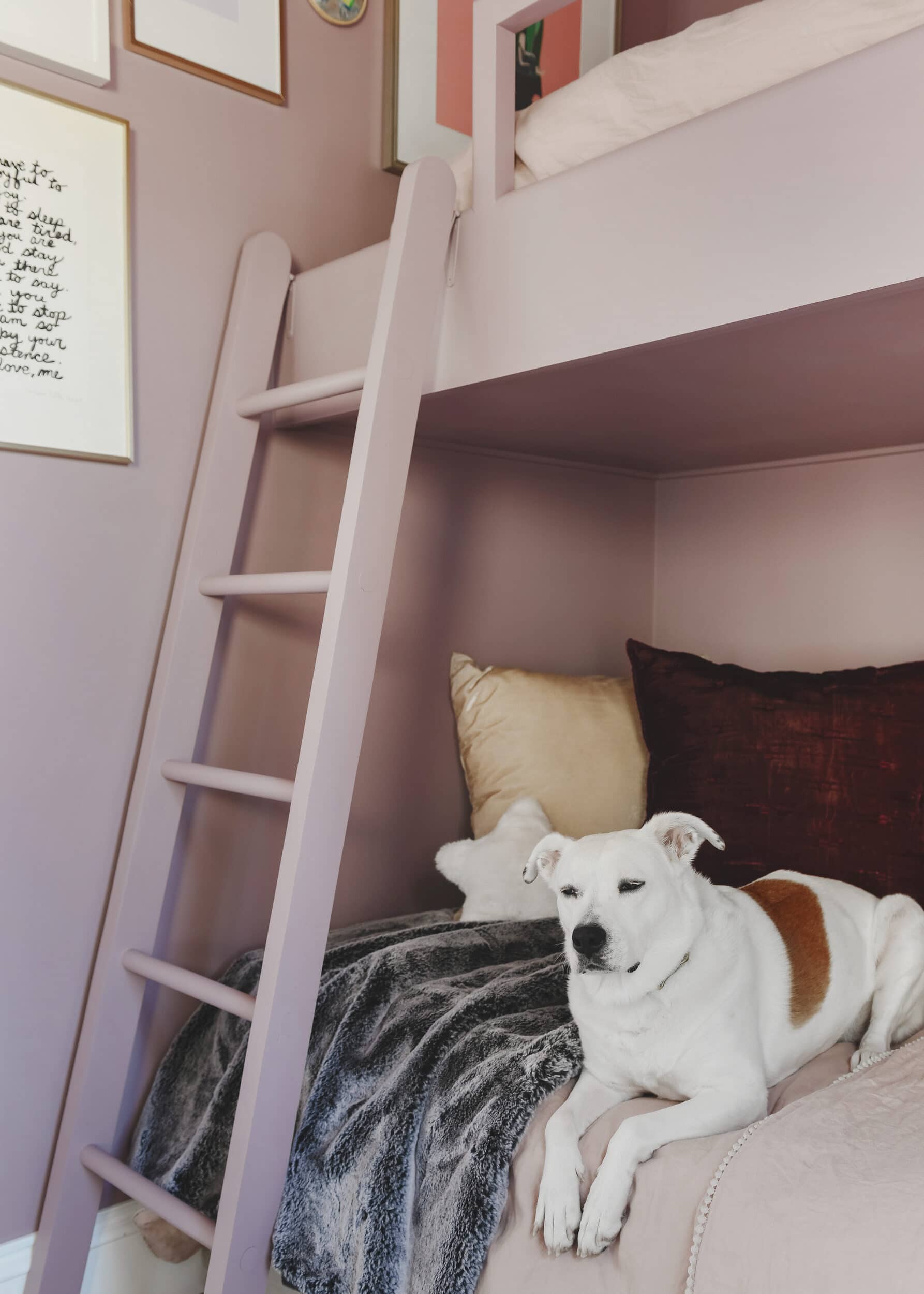 Our dog, Kitty, takes a snooze on the daybed | purple and unicorn bedroom for a big kid via Yellow Brick Home
