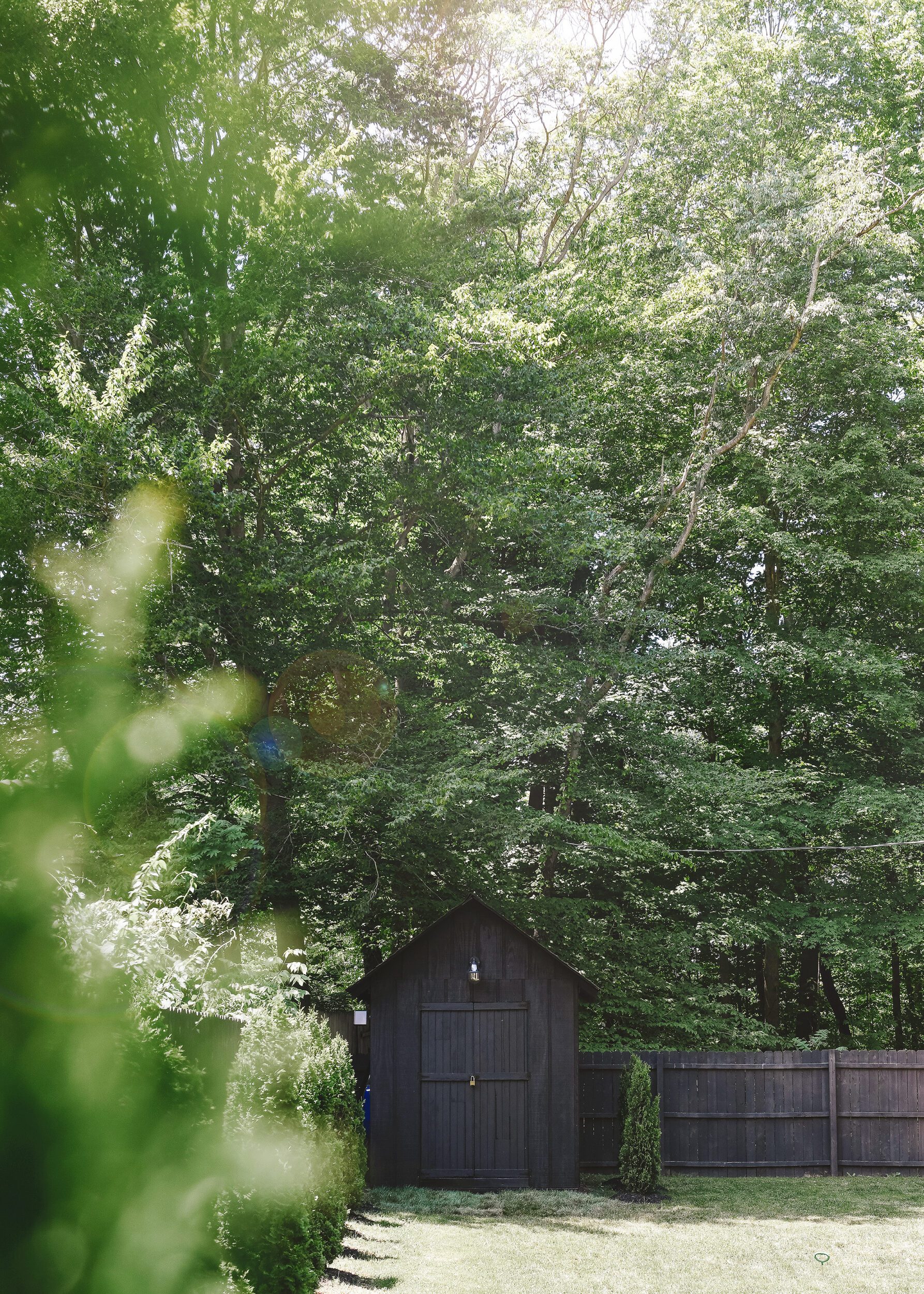 A wide view of our shed at Tree House, with solar lighting installed, surrounded by greenery | via Yellow Brick Home