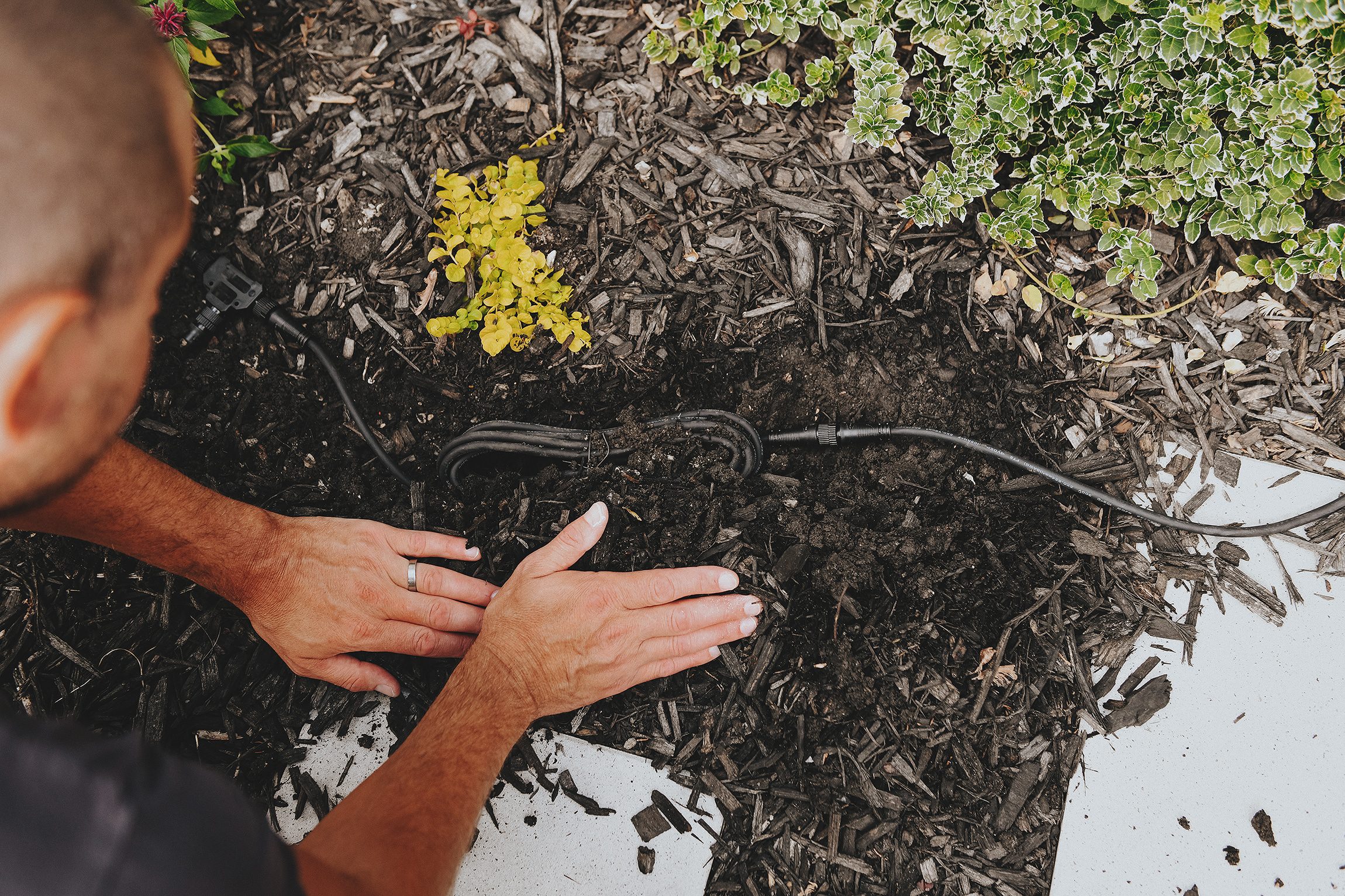 we buried all of the cables under a thin layer of mulch to make them almost invisible // via yellow brick home