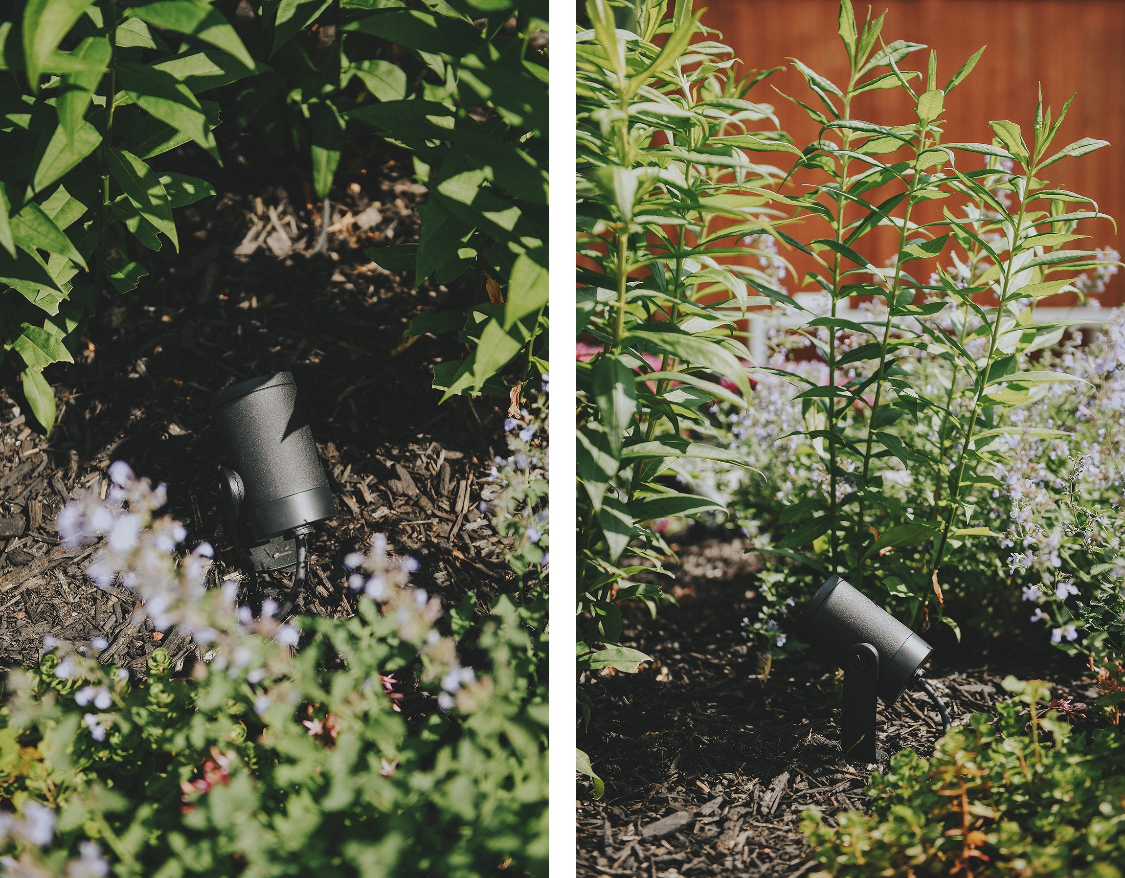 philips hue lily spotlights blend right into the black mulch of our landscaping // via yellow brick home