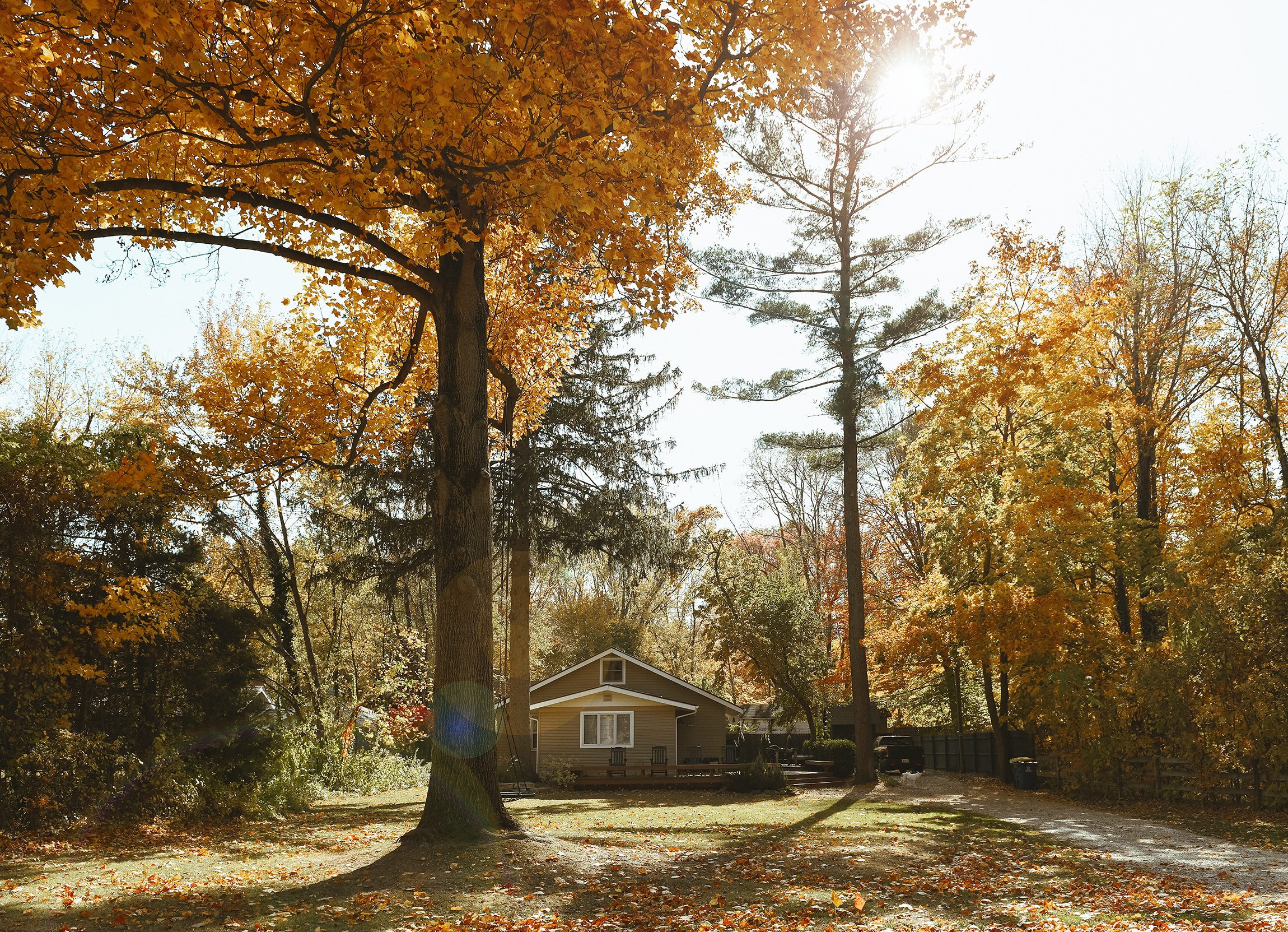 A wide view of our front yard at our Michigan Tree House | via Yellow Brick Home