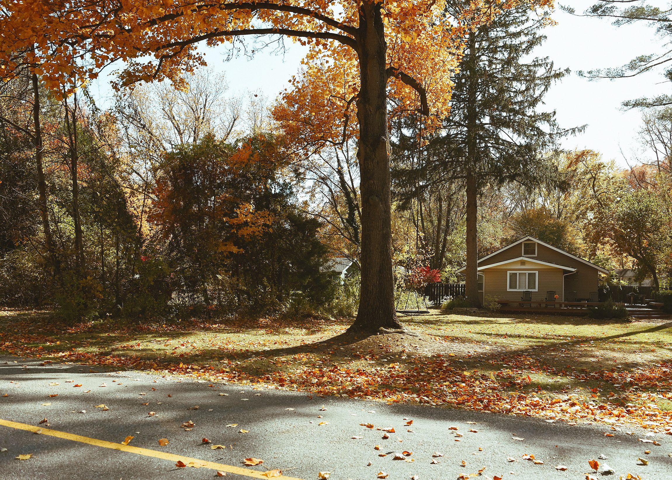 A view of our Michigan home from the street, colored with fall foliage | via Yellow Brick Home