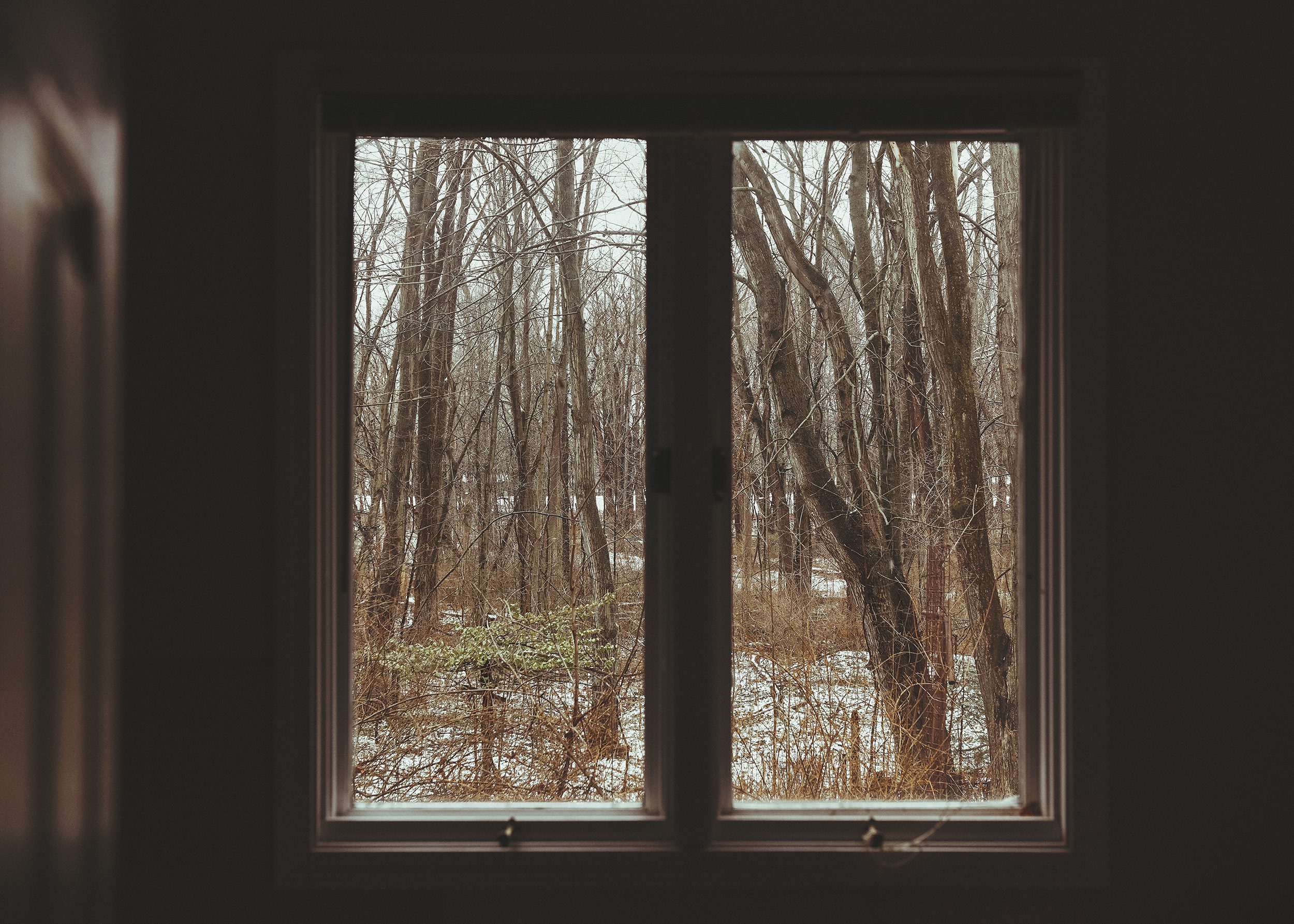 The view of the woods outside the Red House's bathroom // via Yellow Brick Home